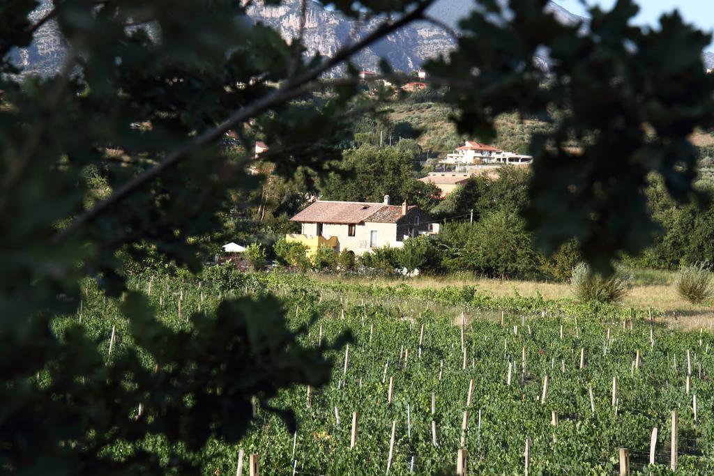 B&B Panta Rei Cicerale Exterior photo